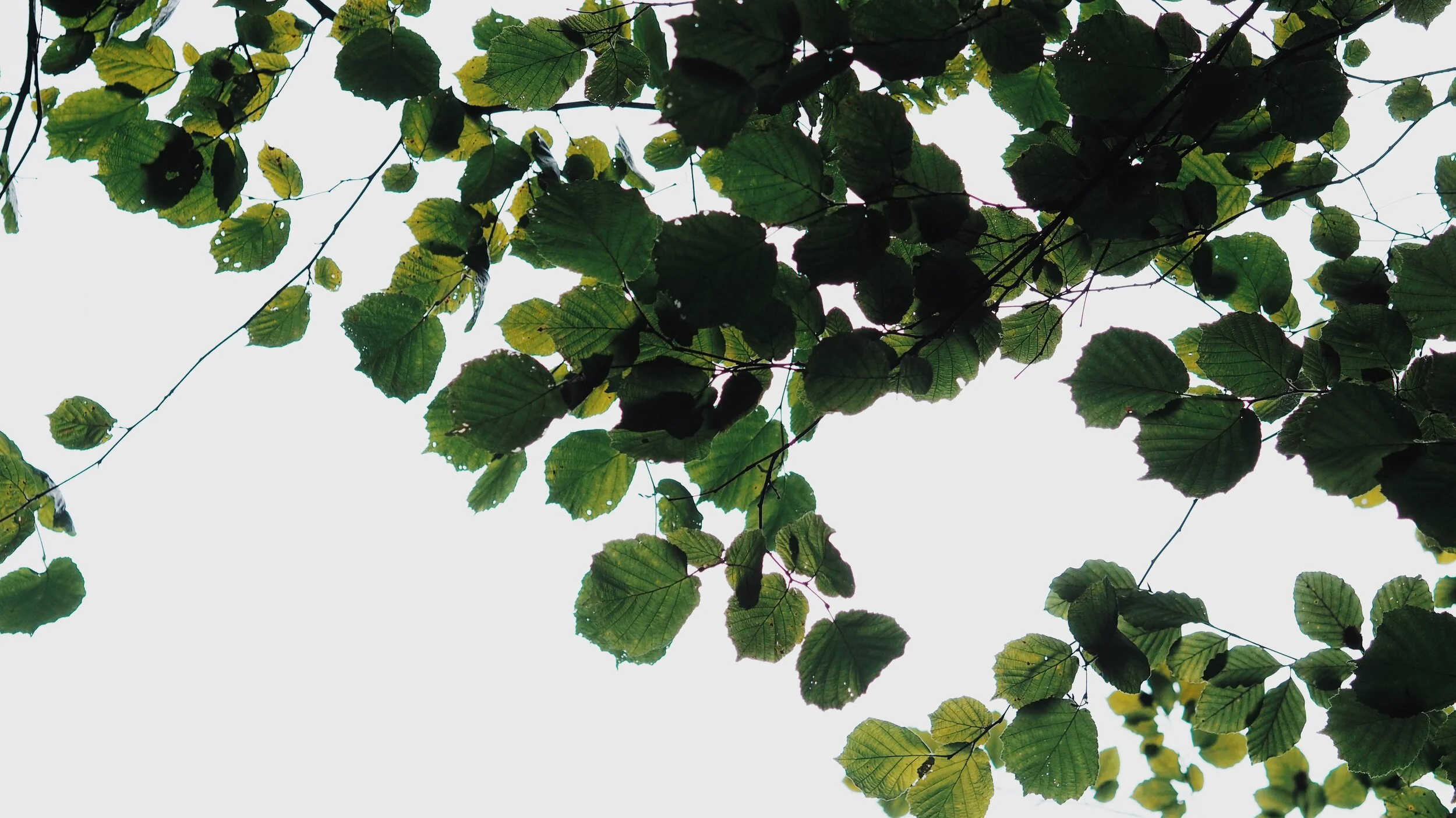 119_roadtrip_norte 2020.JPG