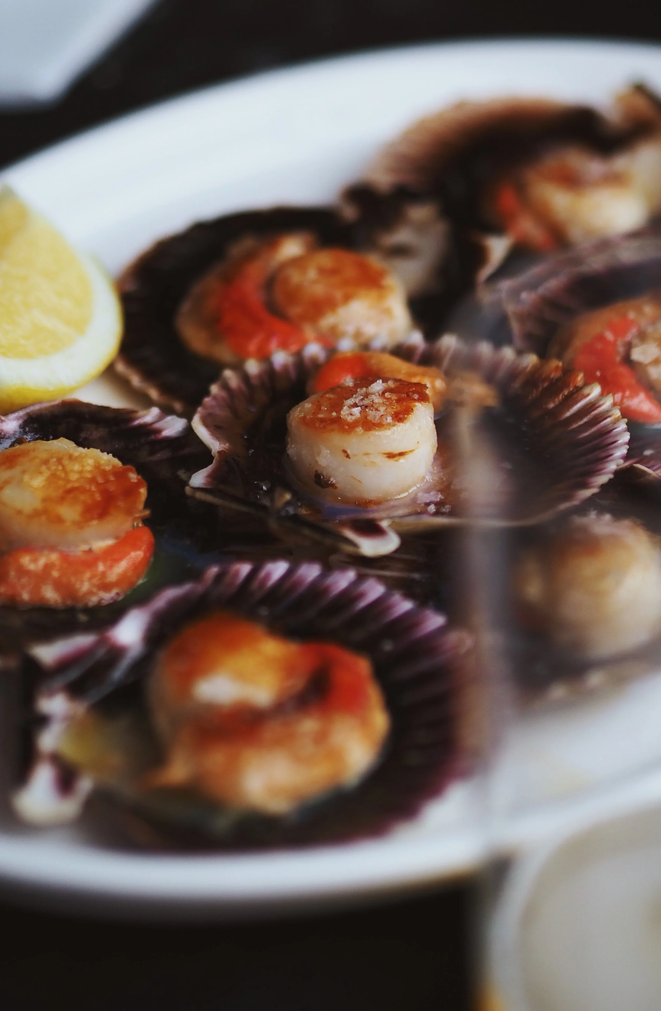 102_roadtrip_norte 2020.JPG