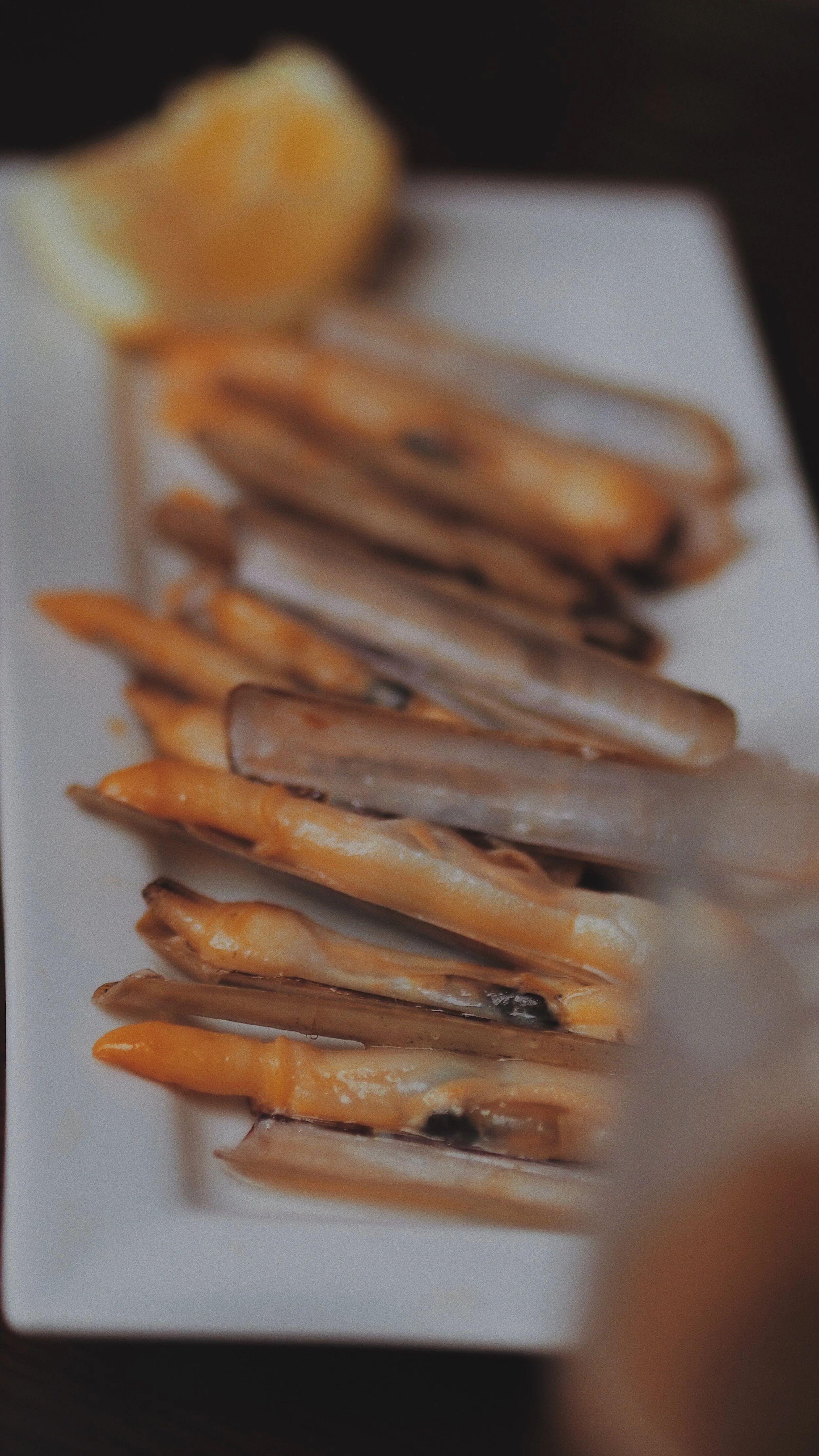 6_roadtrip_norte 2020.JPG