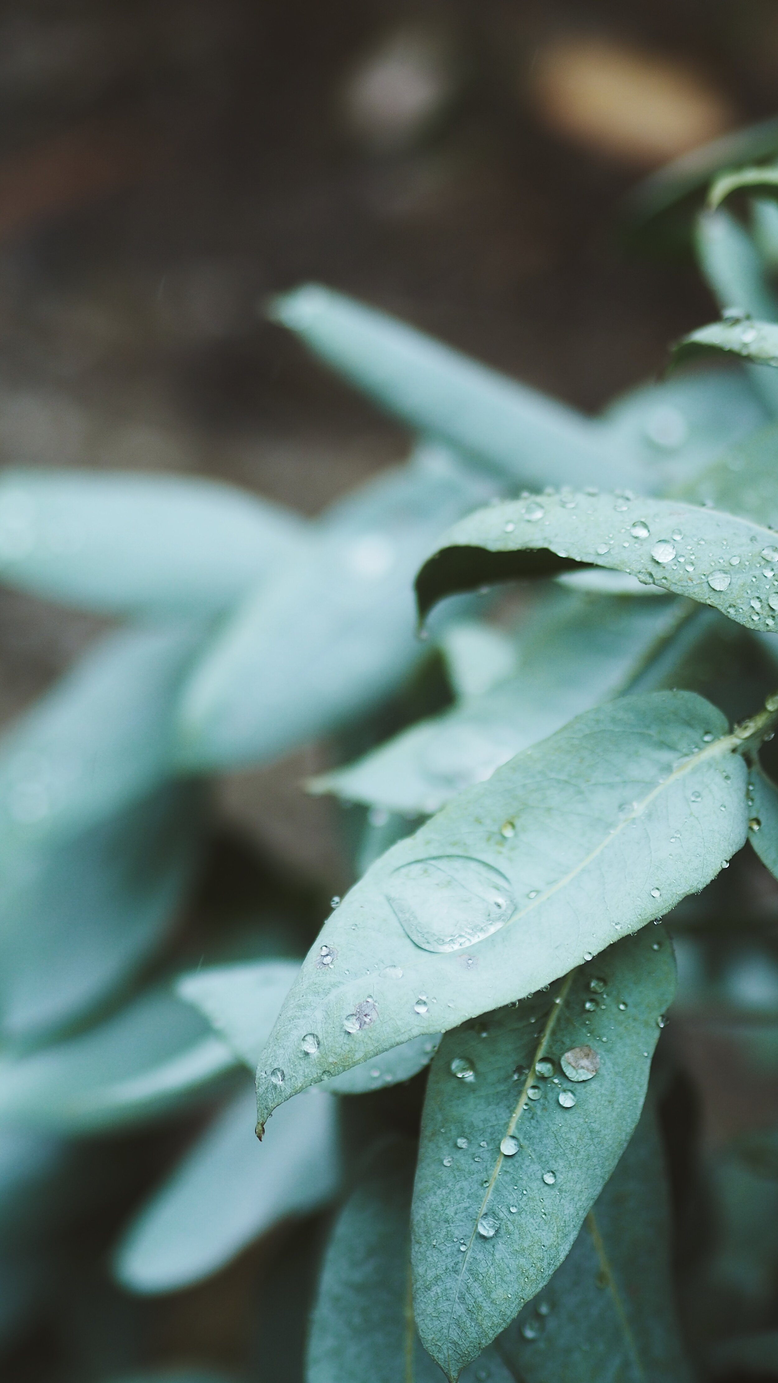 31_roadtrip_norte 2020.JPG