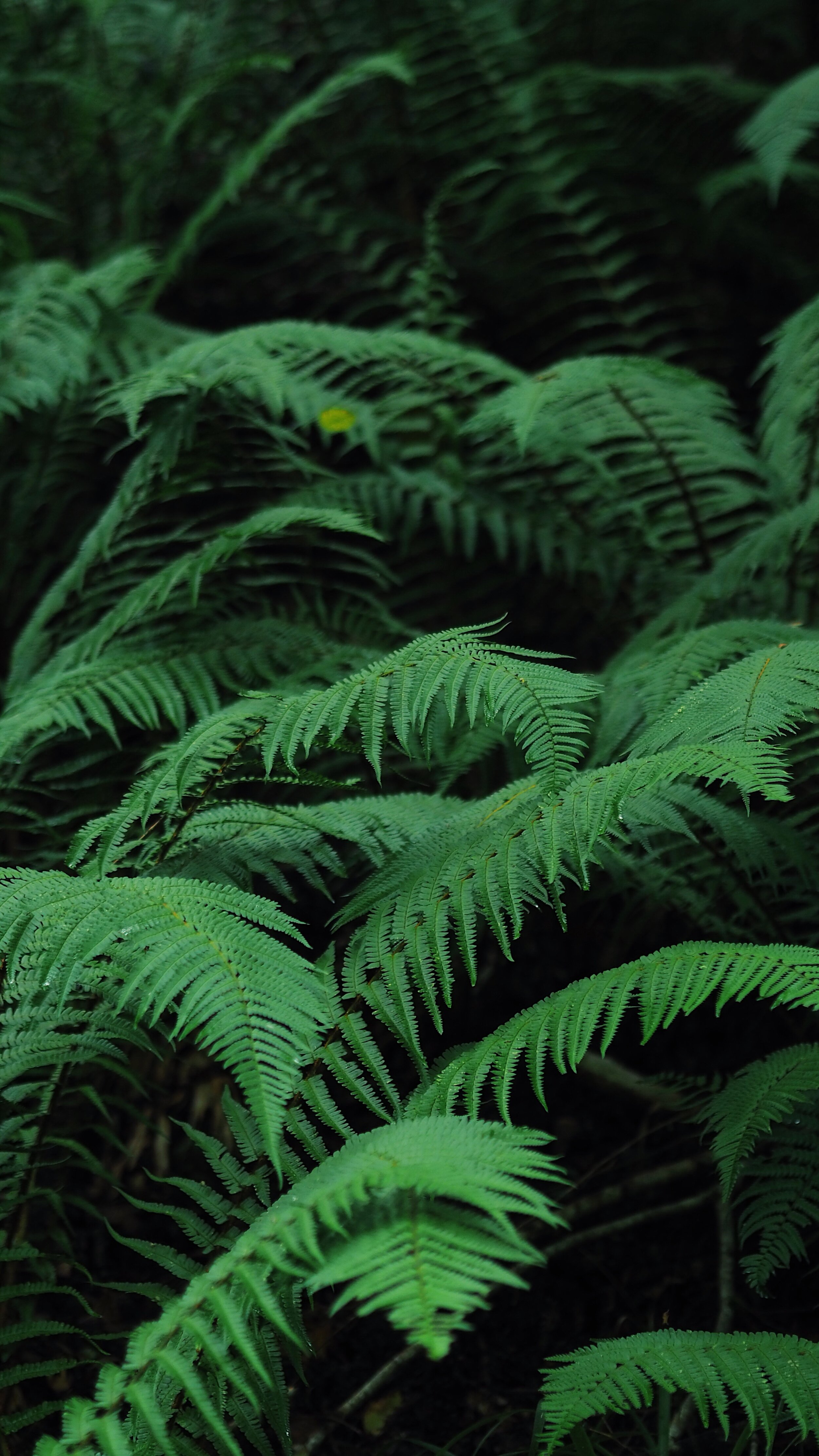 0_roadtrip_norte 2020.JPG