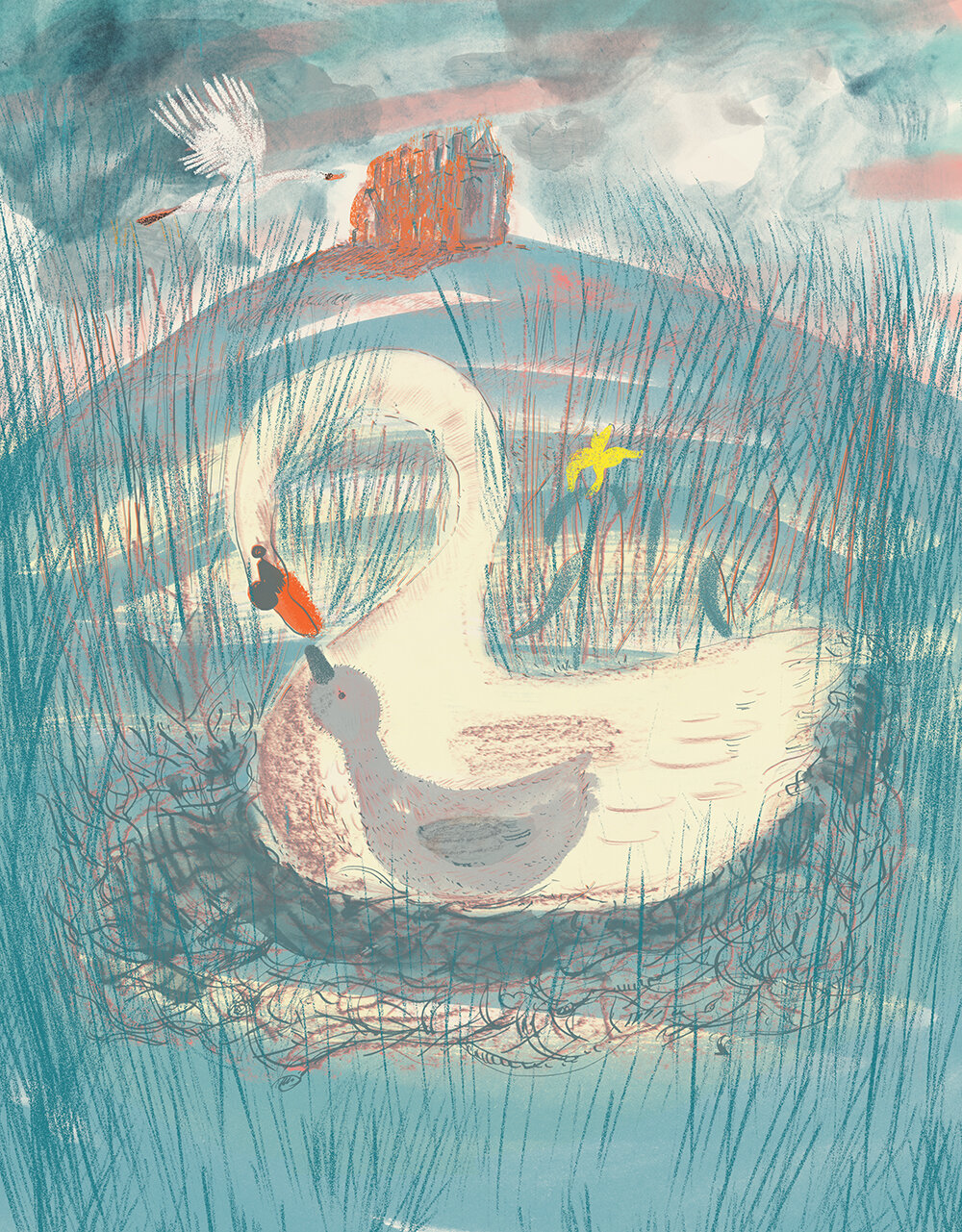 Abbotsbury Swan