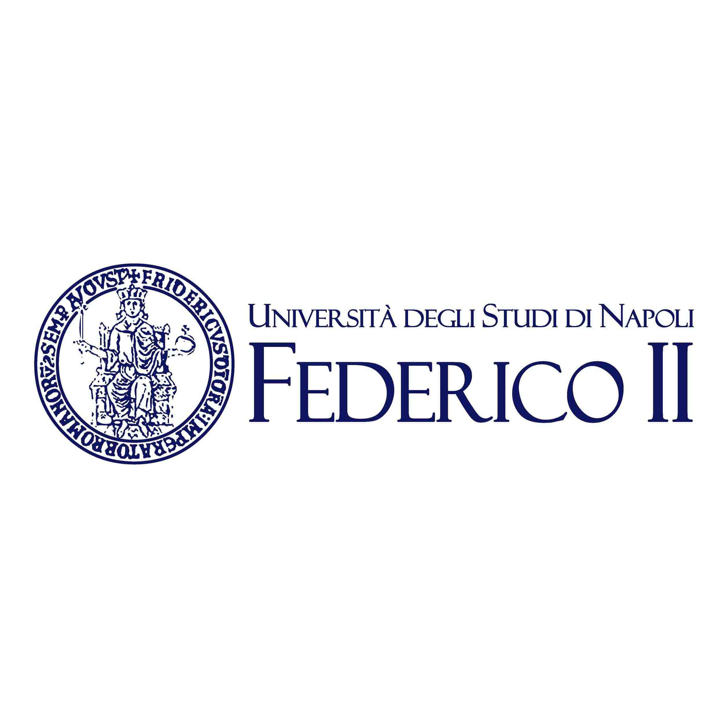7. Federico II - logo 1x1.jpg