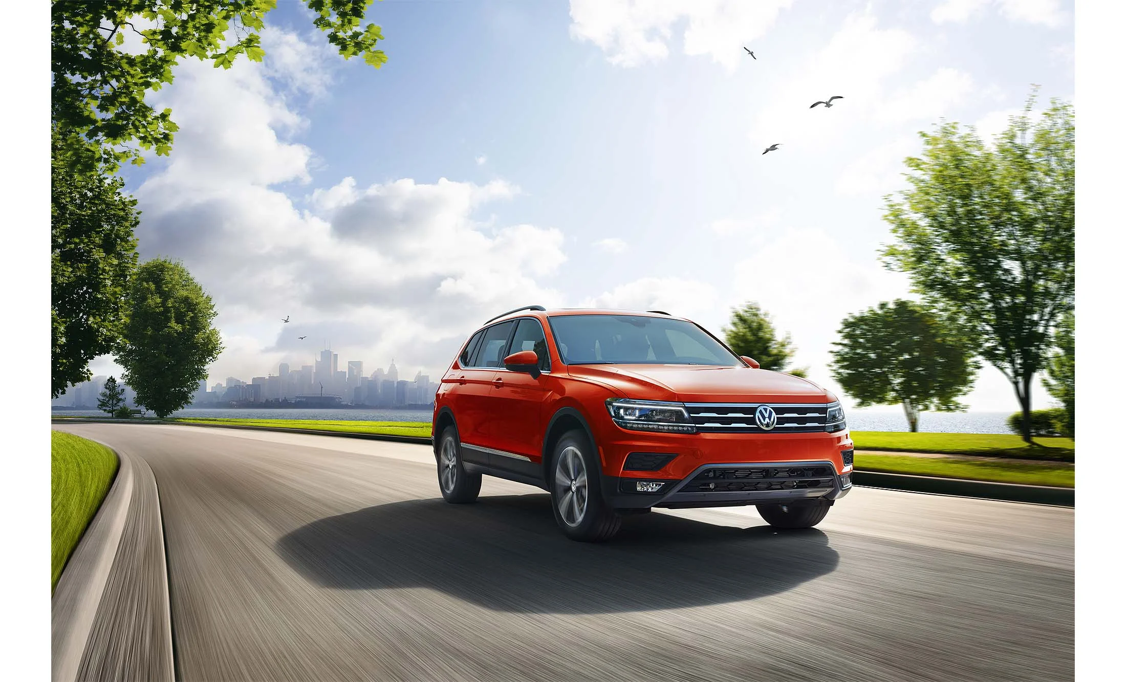 Tiguan by Stephen MacLeod_01.jpg