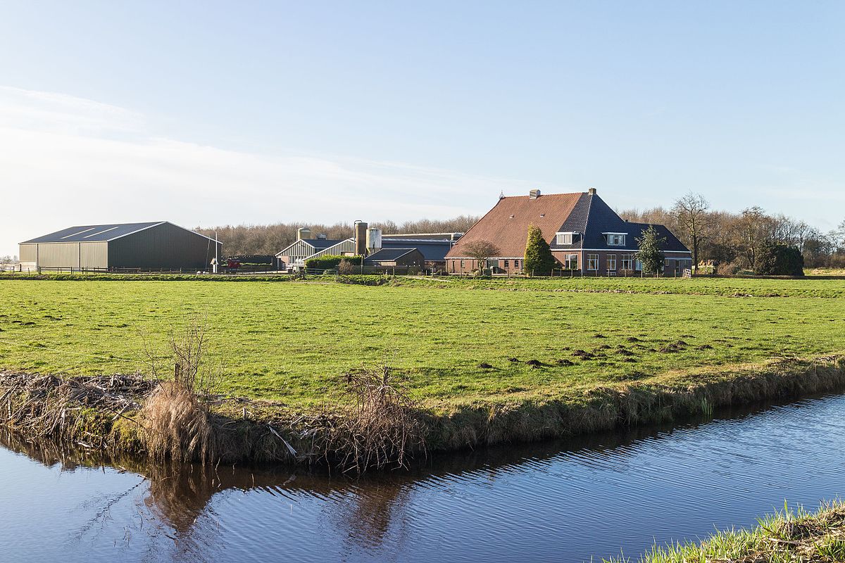 Farm in the Netherlands.