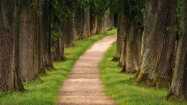 10 citations pour vous aider à retrouver le chemin du bonheur