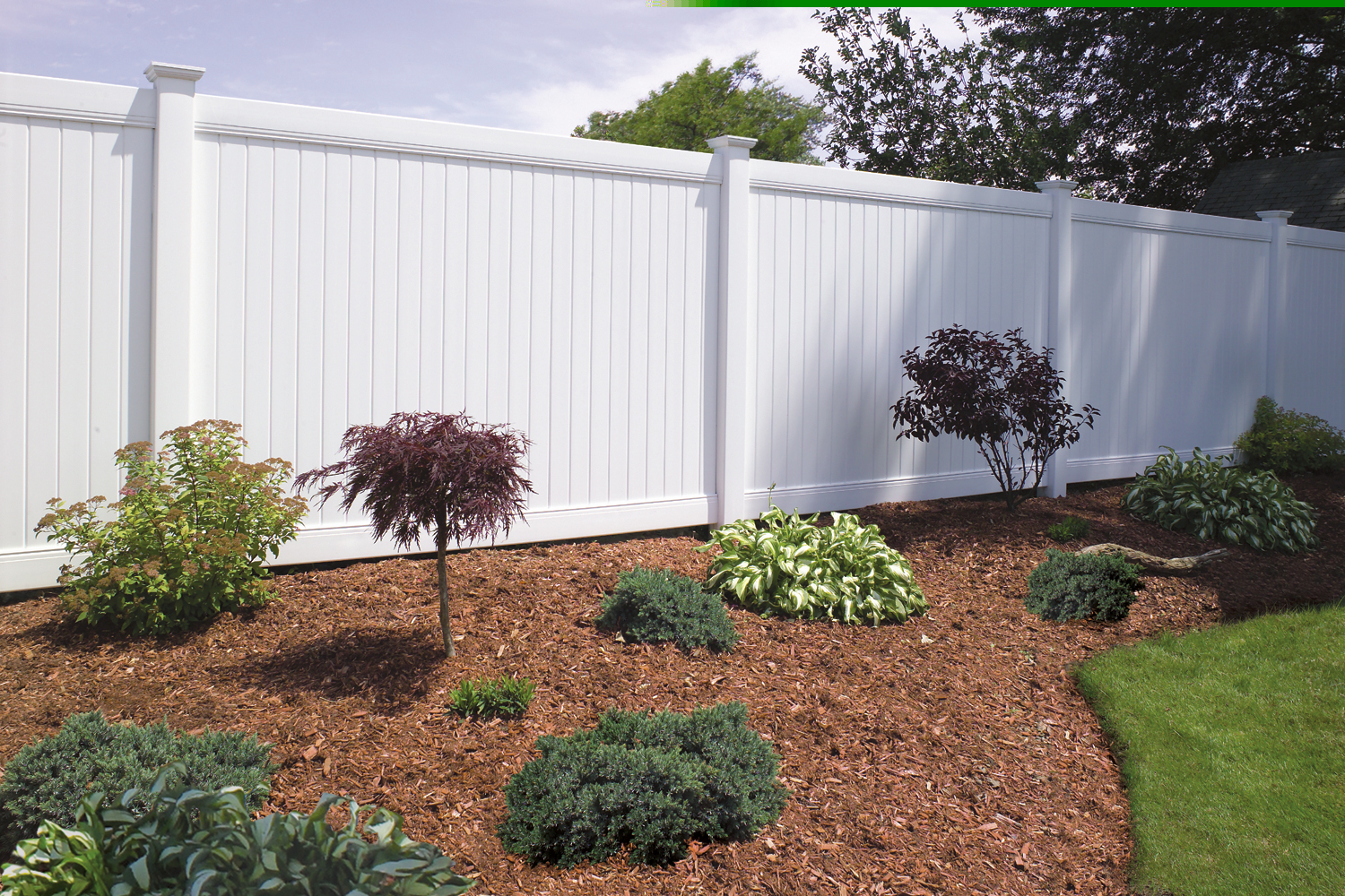 T&G FENCE.jpg