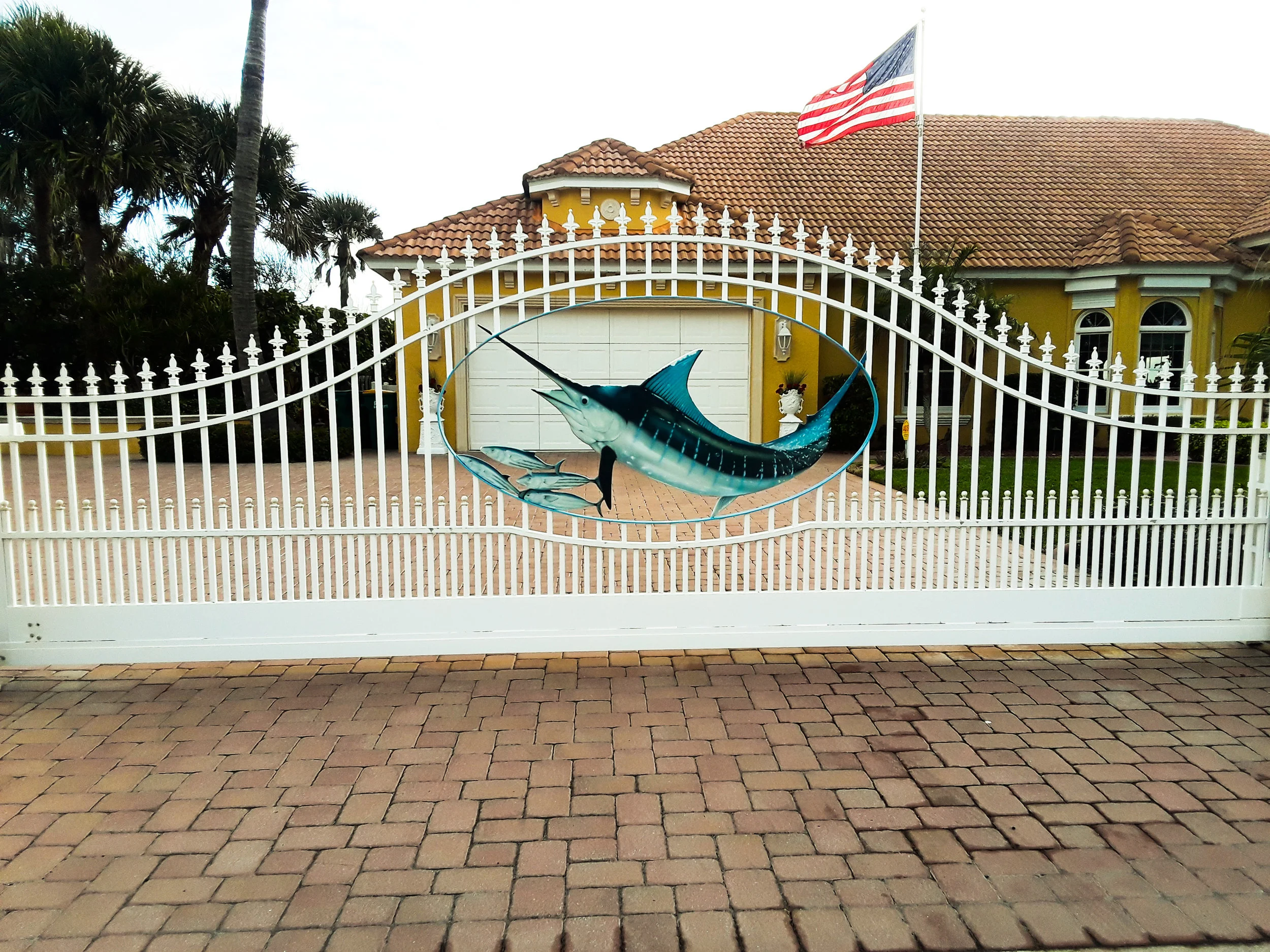 marlin 2_edited2.jpg