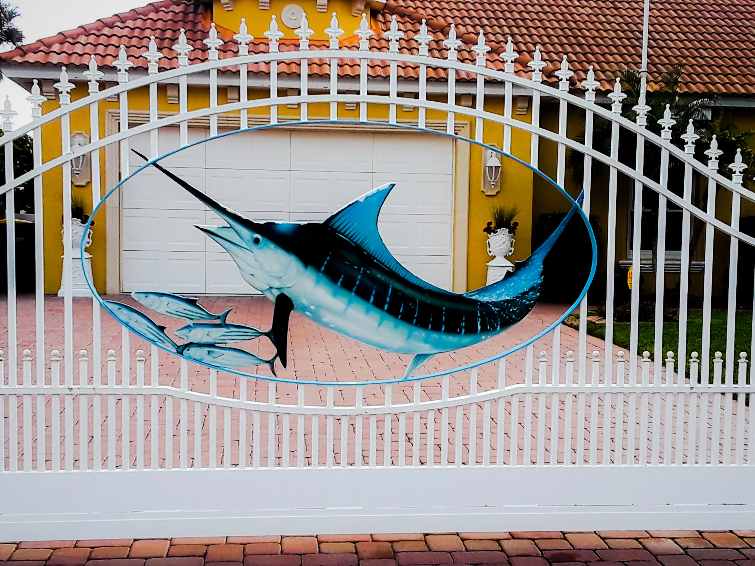marlin 1_edited.jpg