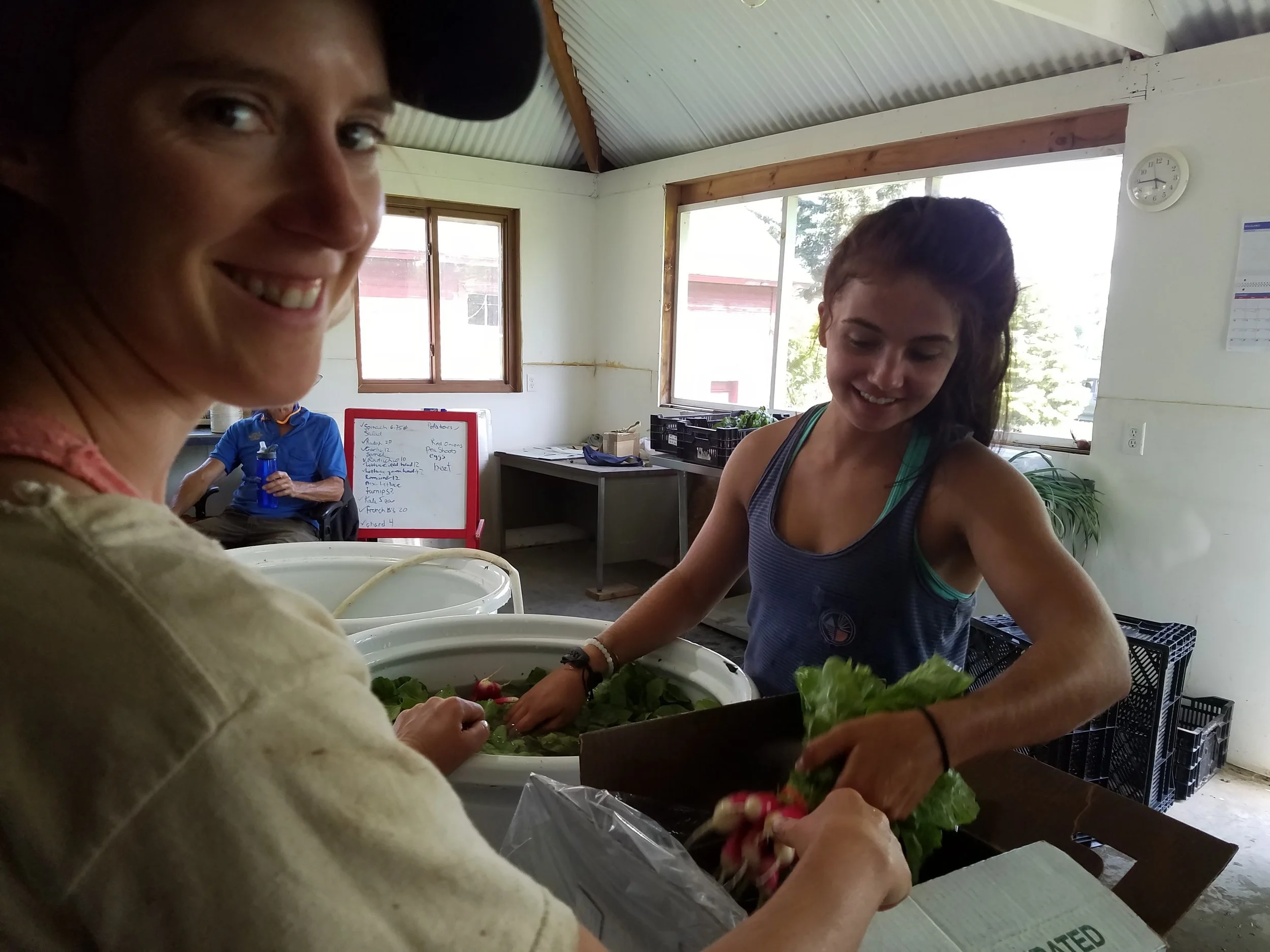 20160603_154516.jpg