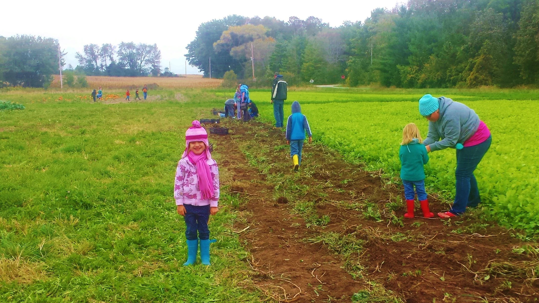 Diggin' the potato party!