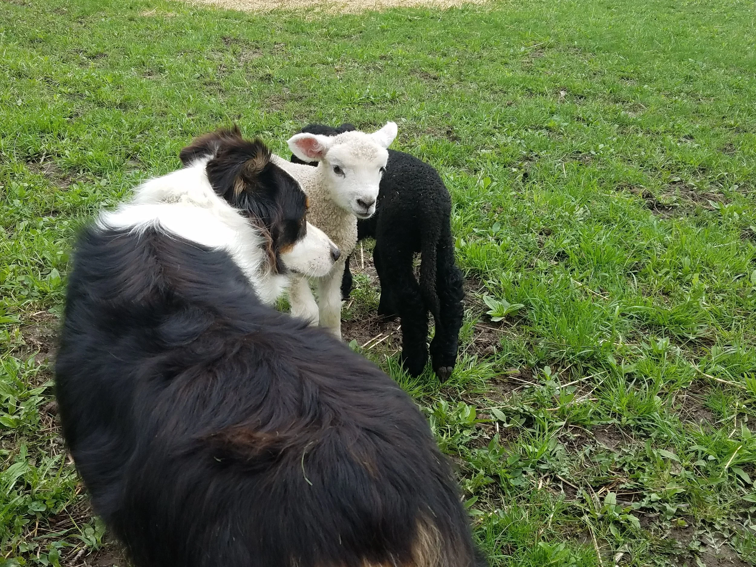Bonding.
