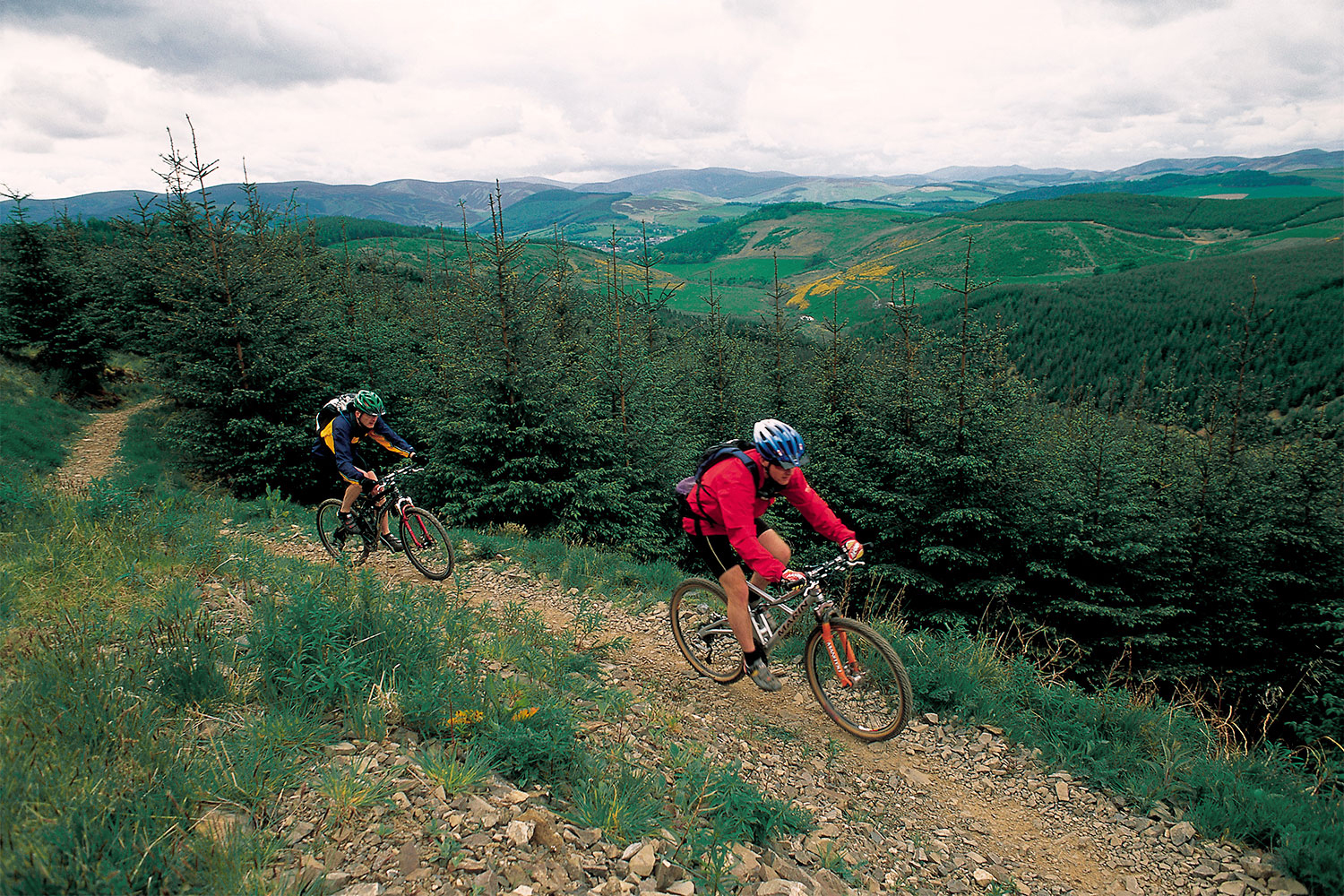 Glentress Forest, Copyright VisitScotland / Paul Tomkins