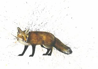 fox.jpeg