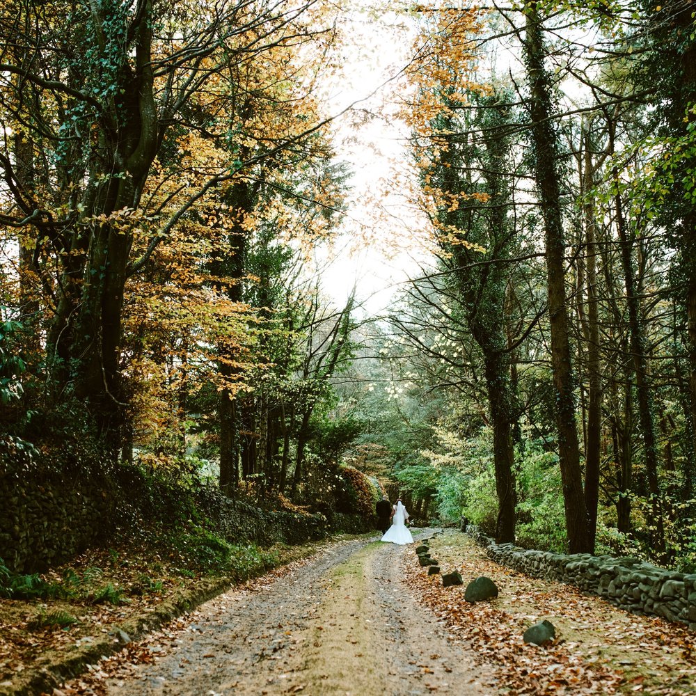 Copyright Tub of Jelly