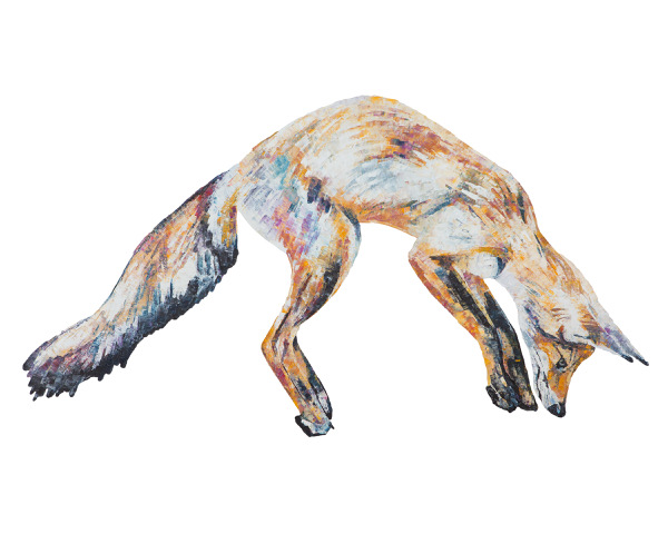 Jumping Fox 8 x 10 Inch 300 res.jpeg