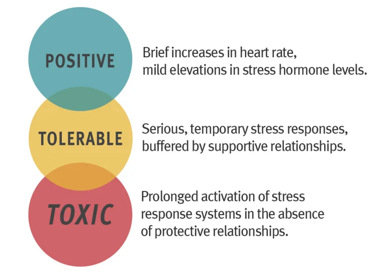 Three-Types-of-Stress-768x549.jpg