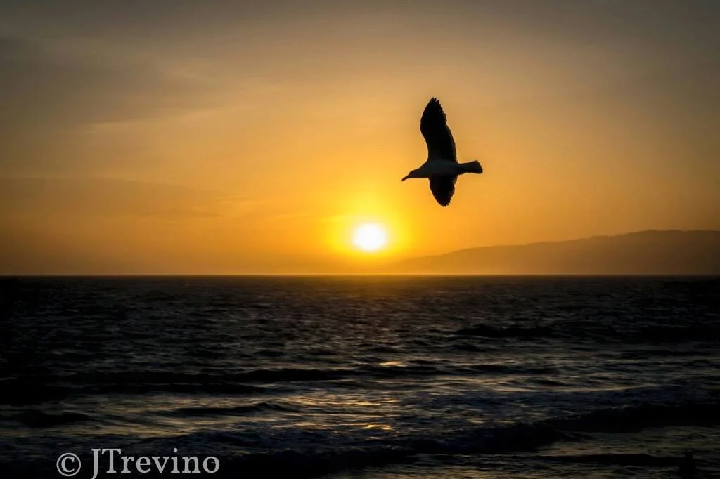 Sunset Malibu Beach California