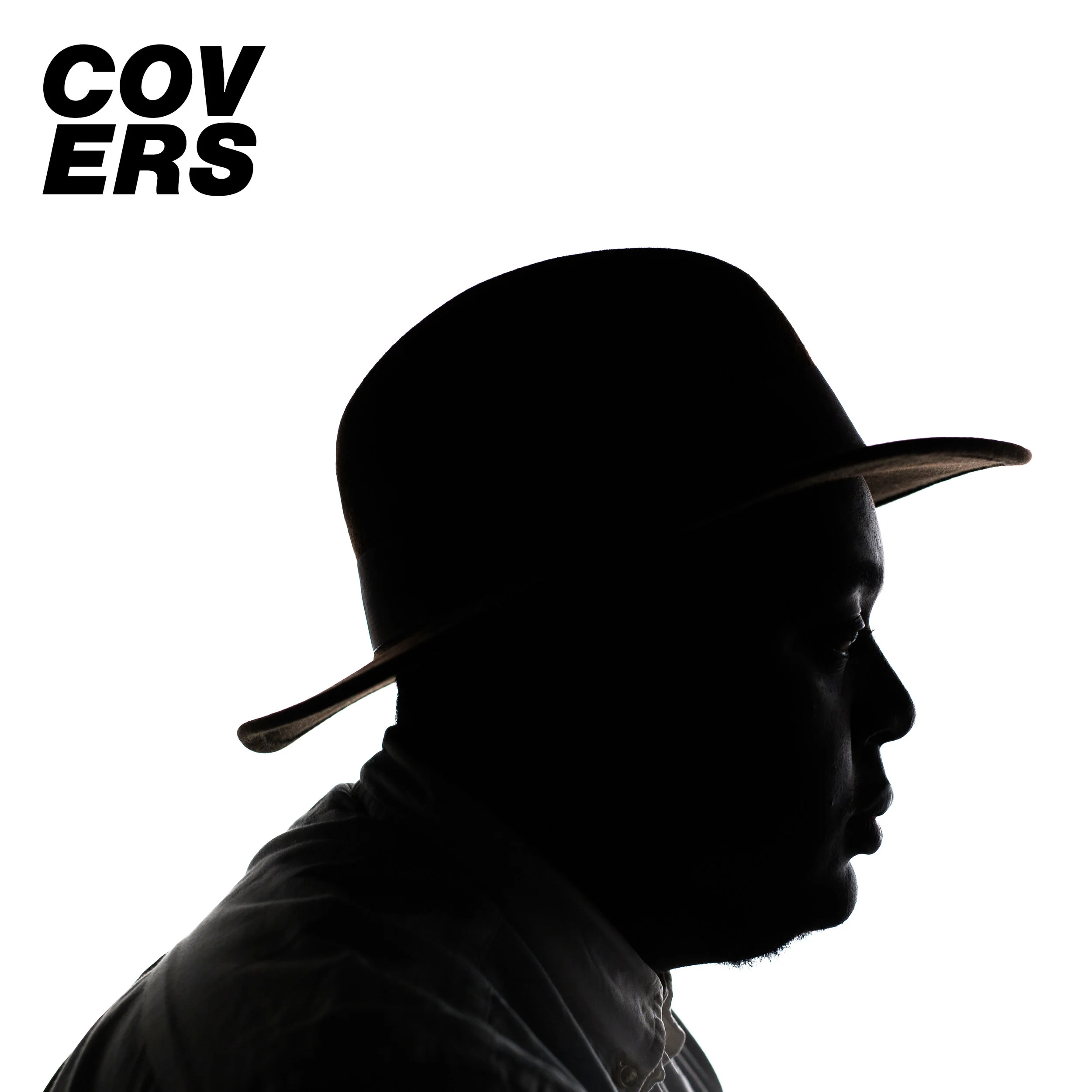 Walk on the Wild Side (COVERS)