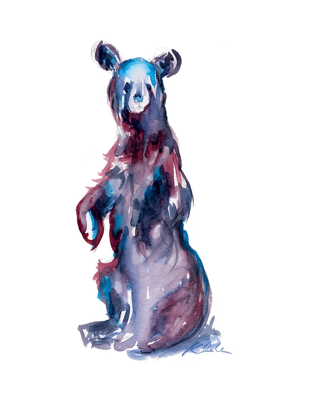 Mr. Bear