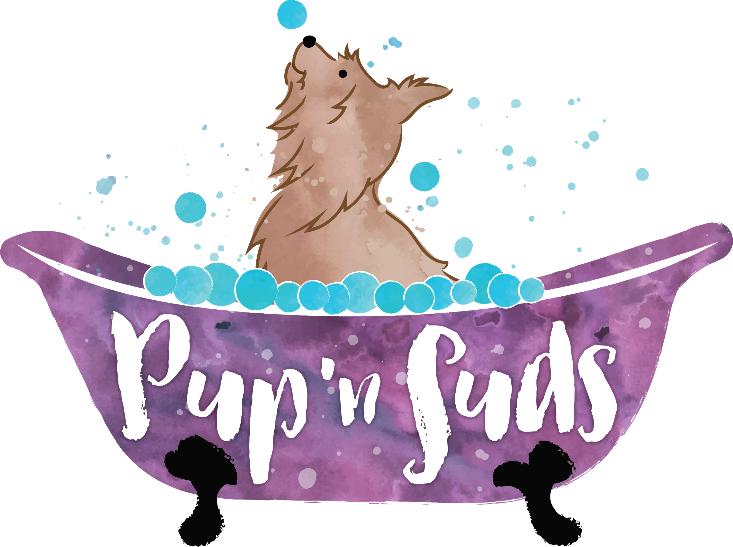 PNS_Logo_Final File_Full Color.png