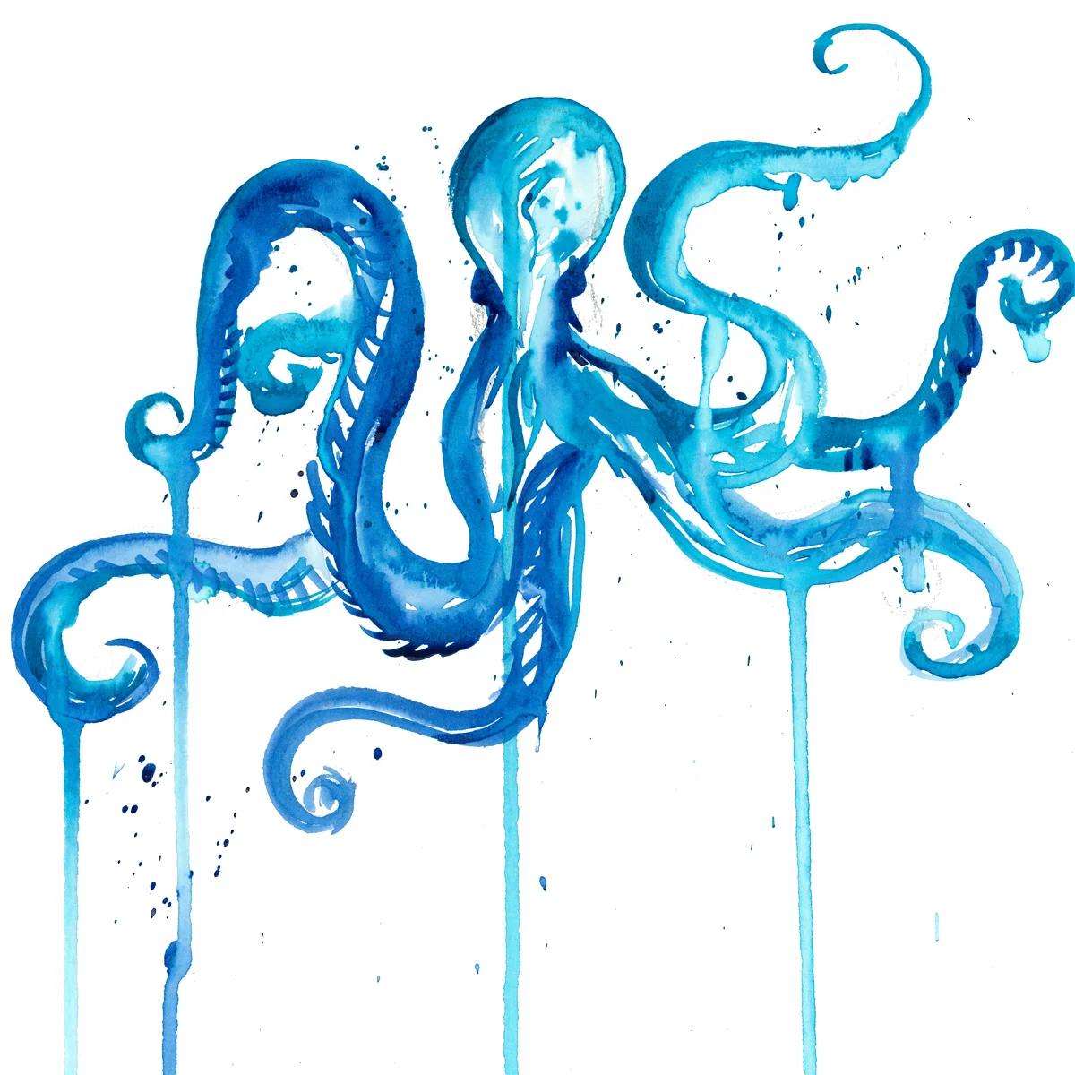 Octopus.jpg