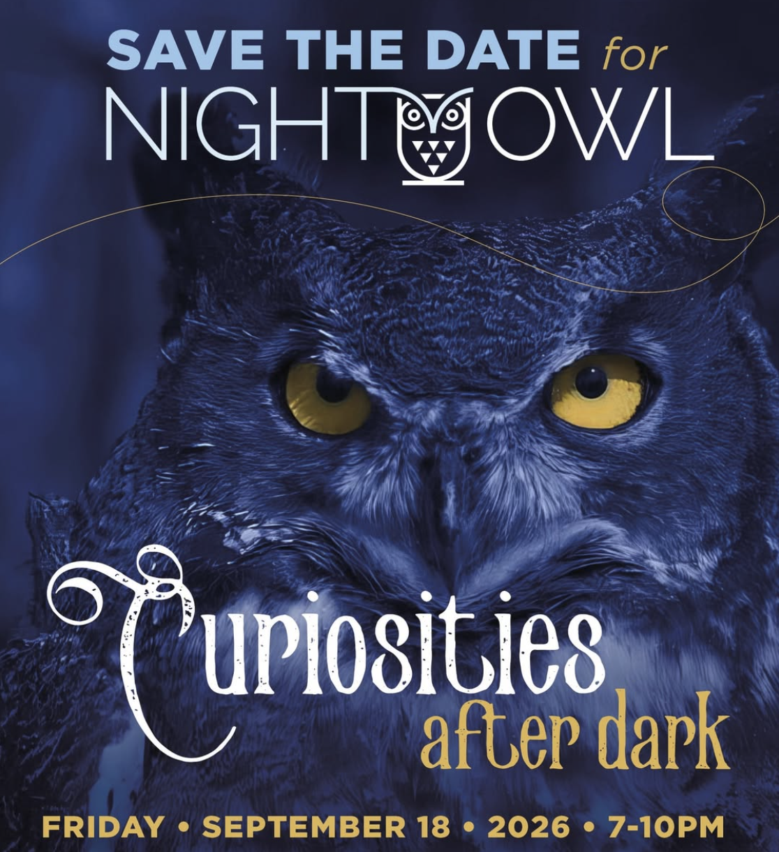 Night Owl: Curiosities After Dark