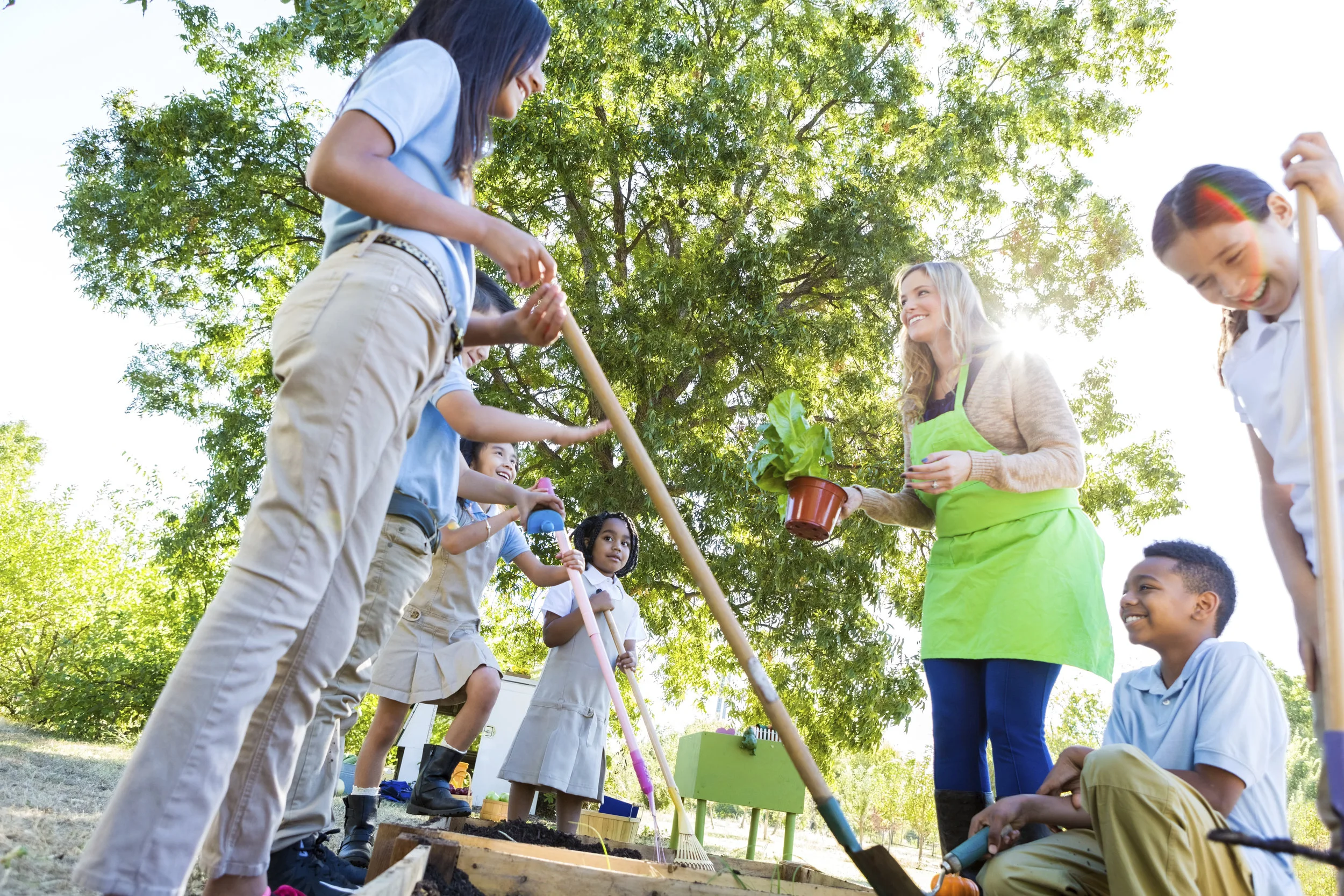 iStock_000077995121_XXXLarge.jpg