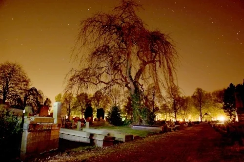 Graveyard.jpg
