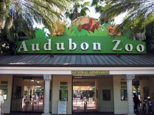 audubon-zoo (1).jpg