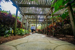 The Sunken Gardens in St. Petersburg, Florida