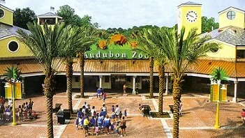Let’s Go to the Audubon Zoo 