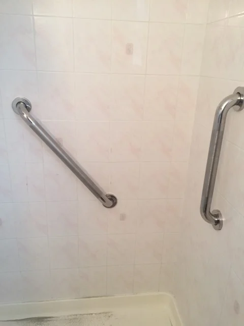 Grab Bars.JPG