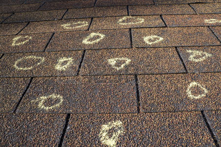 Dynasty Roofing