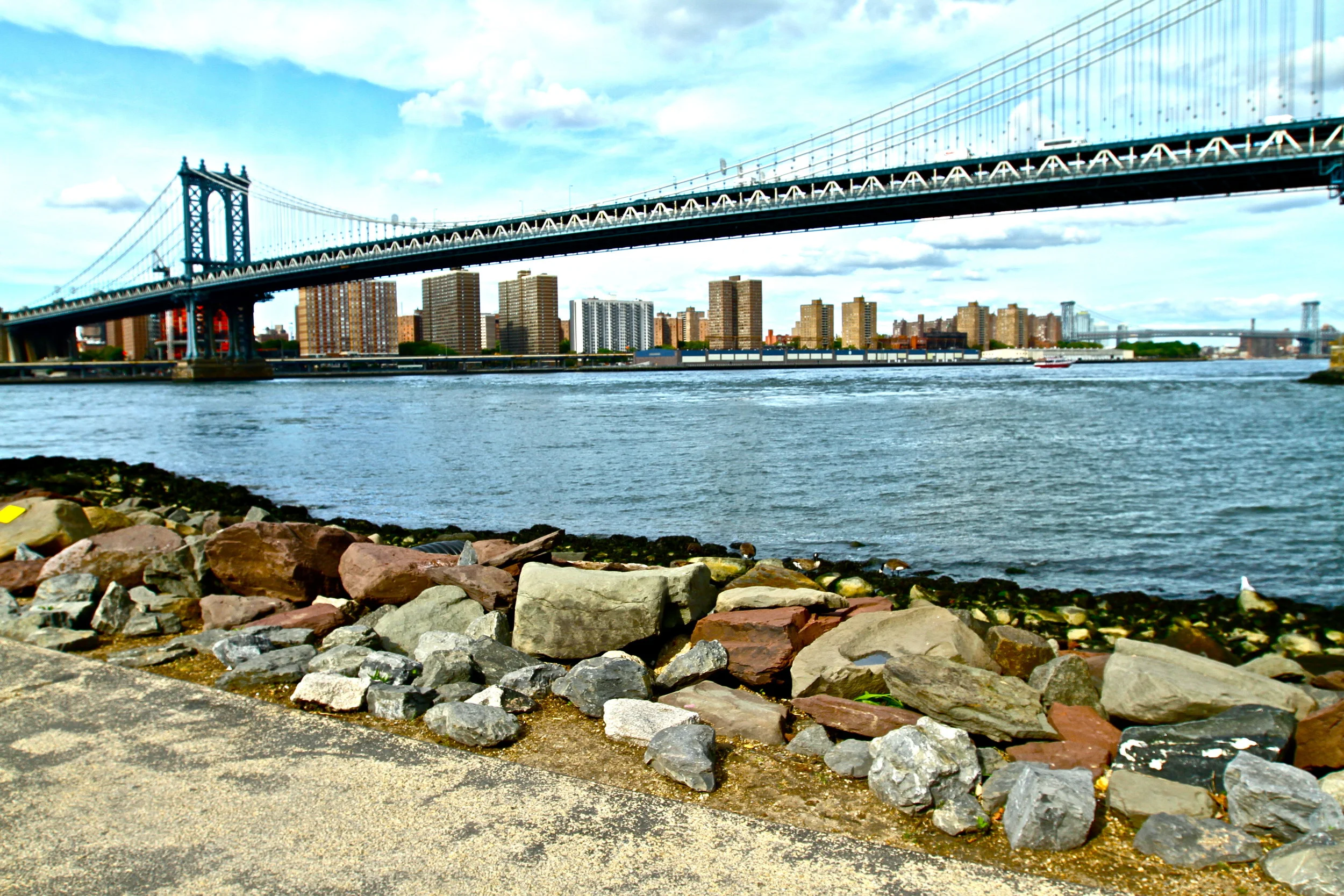 IMG_7375.JPG