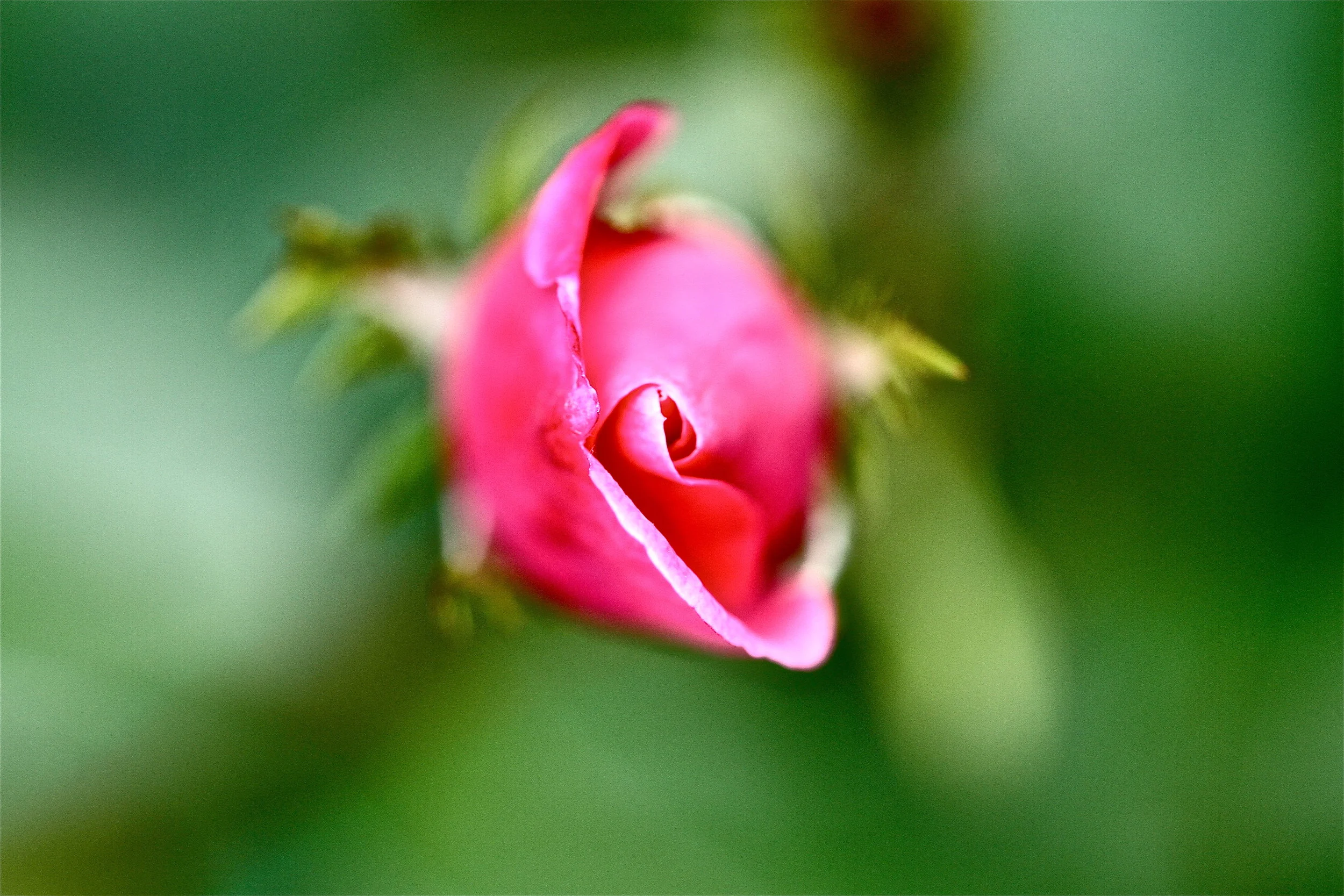 IMG_6939.JPG