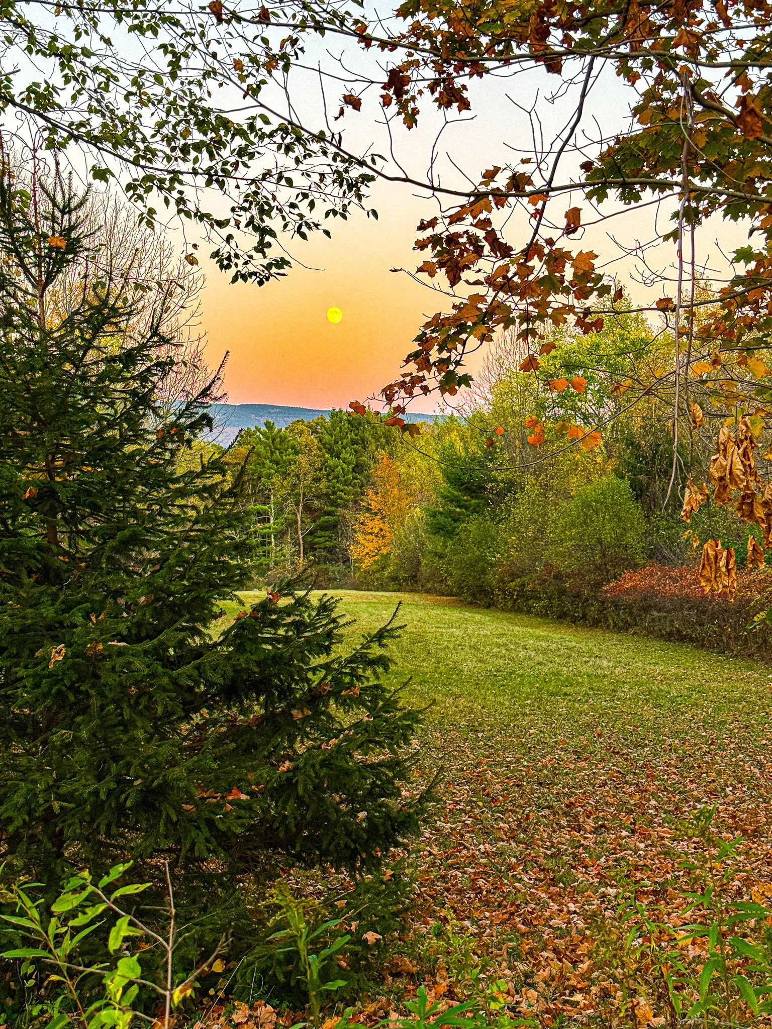 bennington cllege 1st.jpg