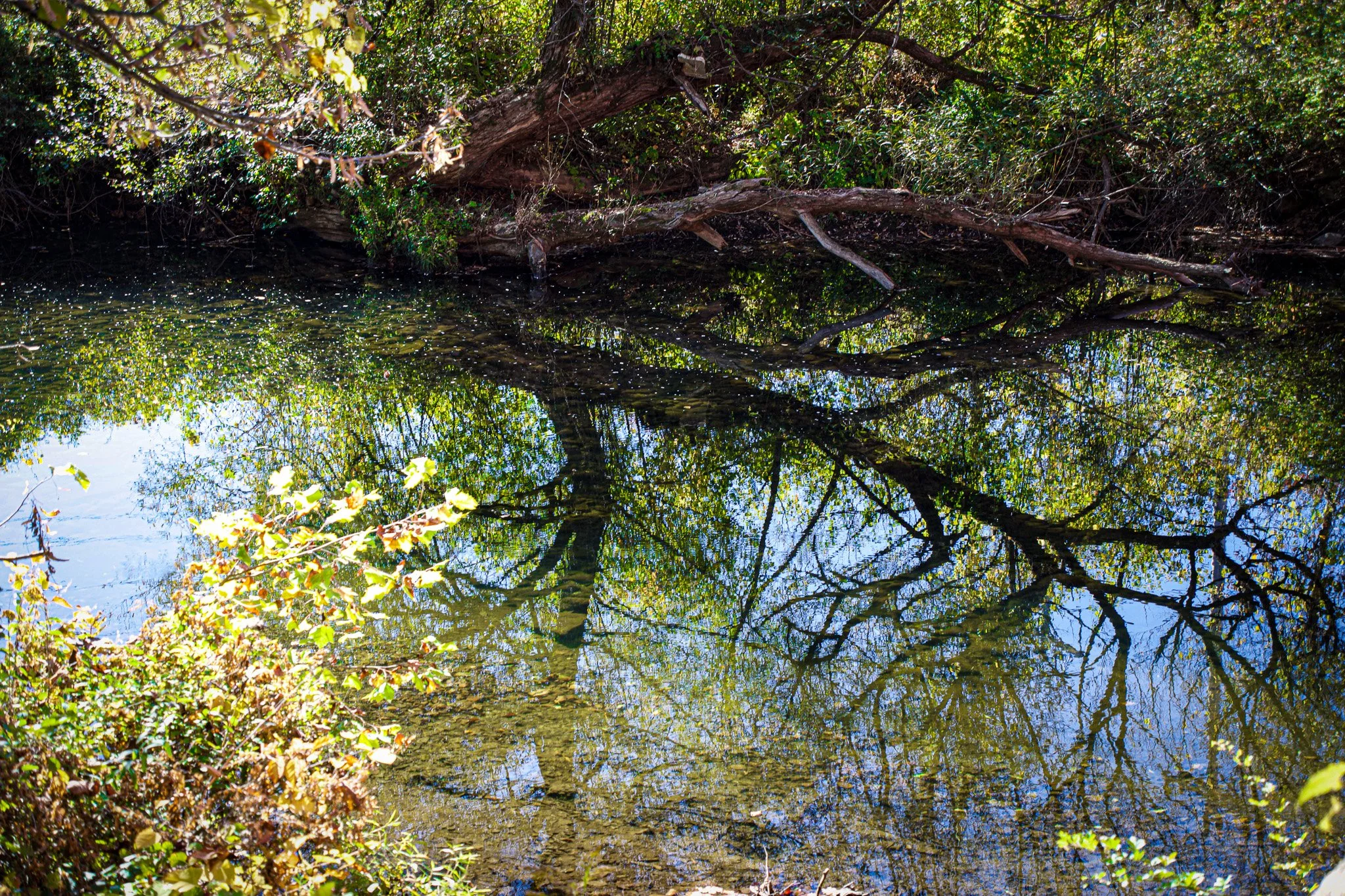 bennington water reflect.jpg