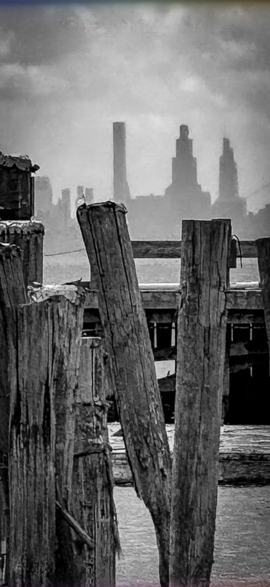 TARRY PIER 4.jpg