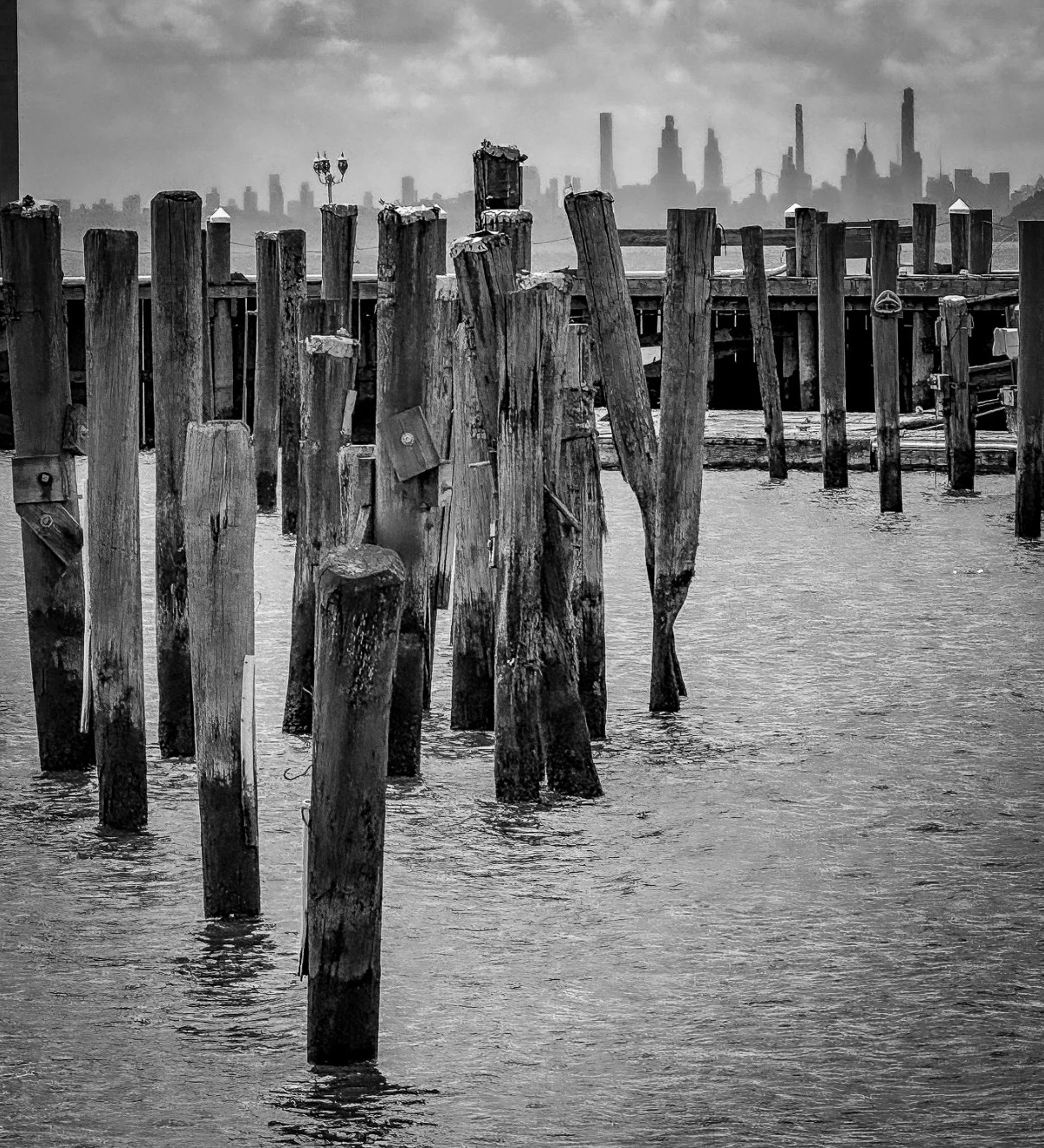 TARRY PIER2.jpg