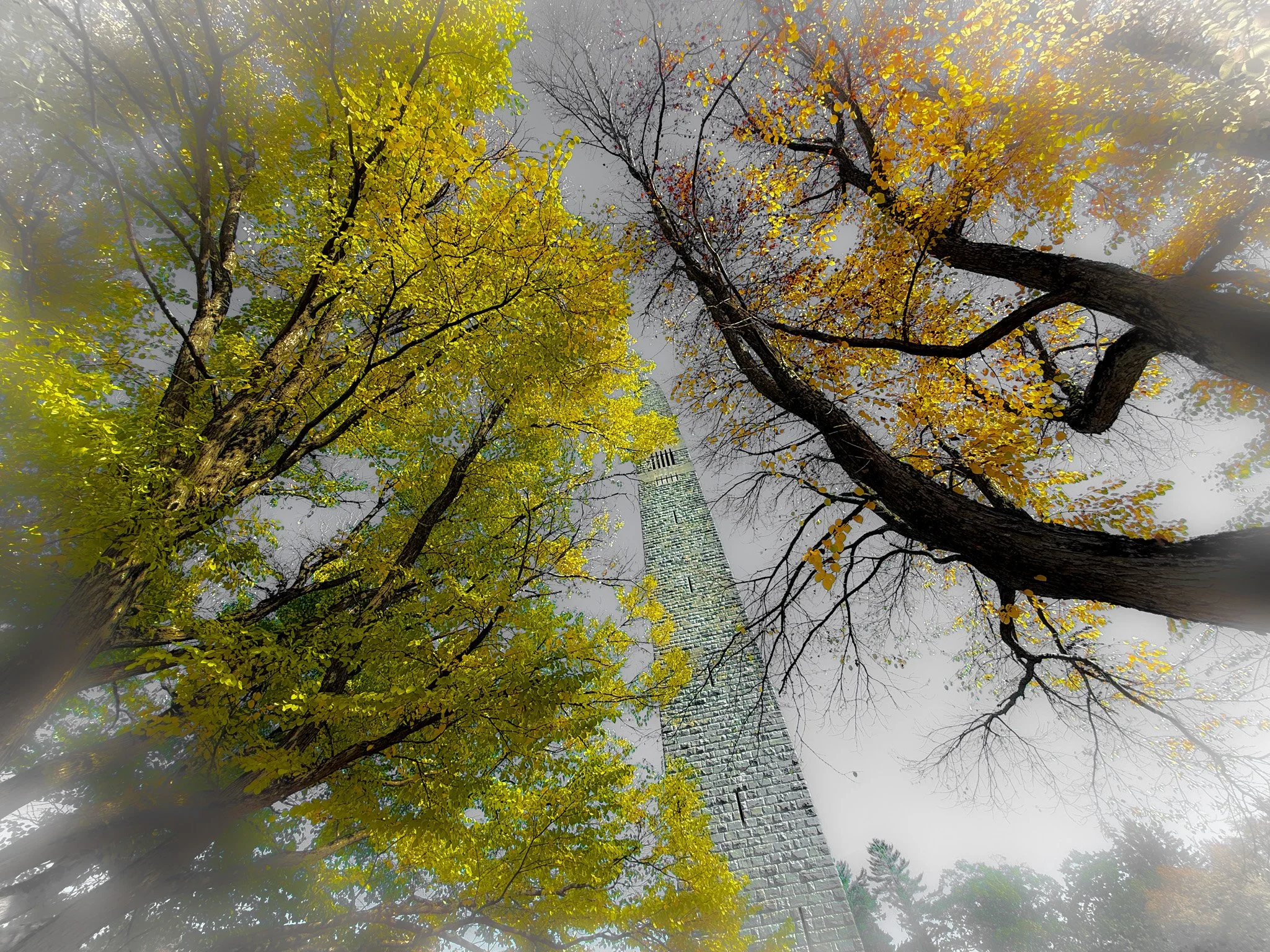 BENNINGTON FOG.jpg