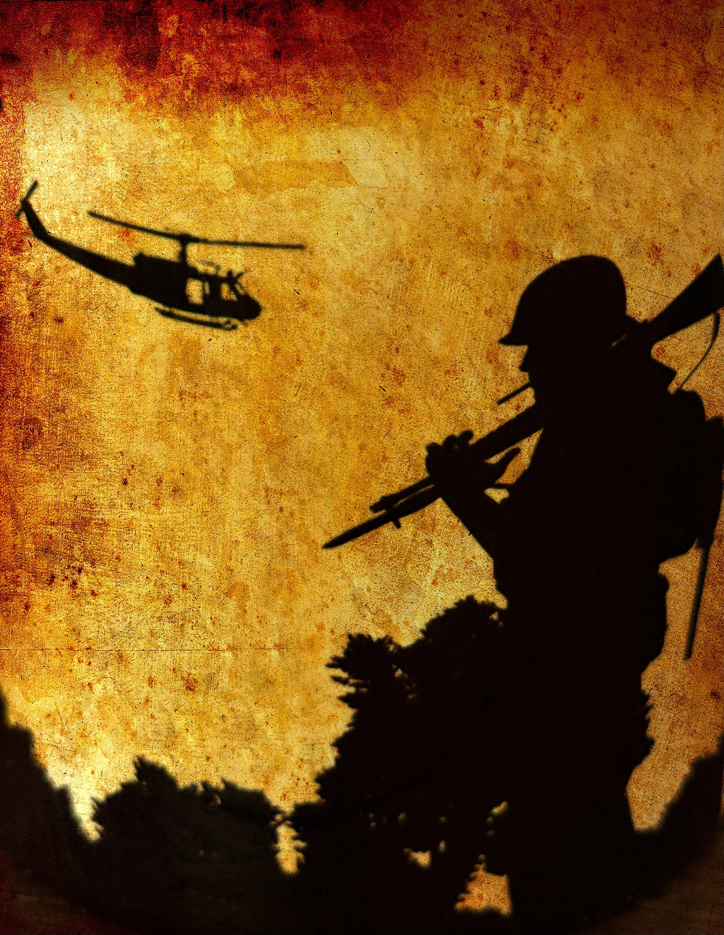 VIETNAM SOLDIER.jpeg