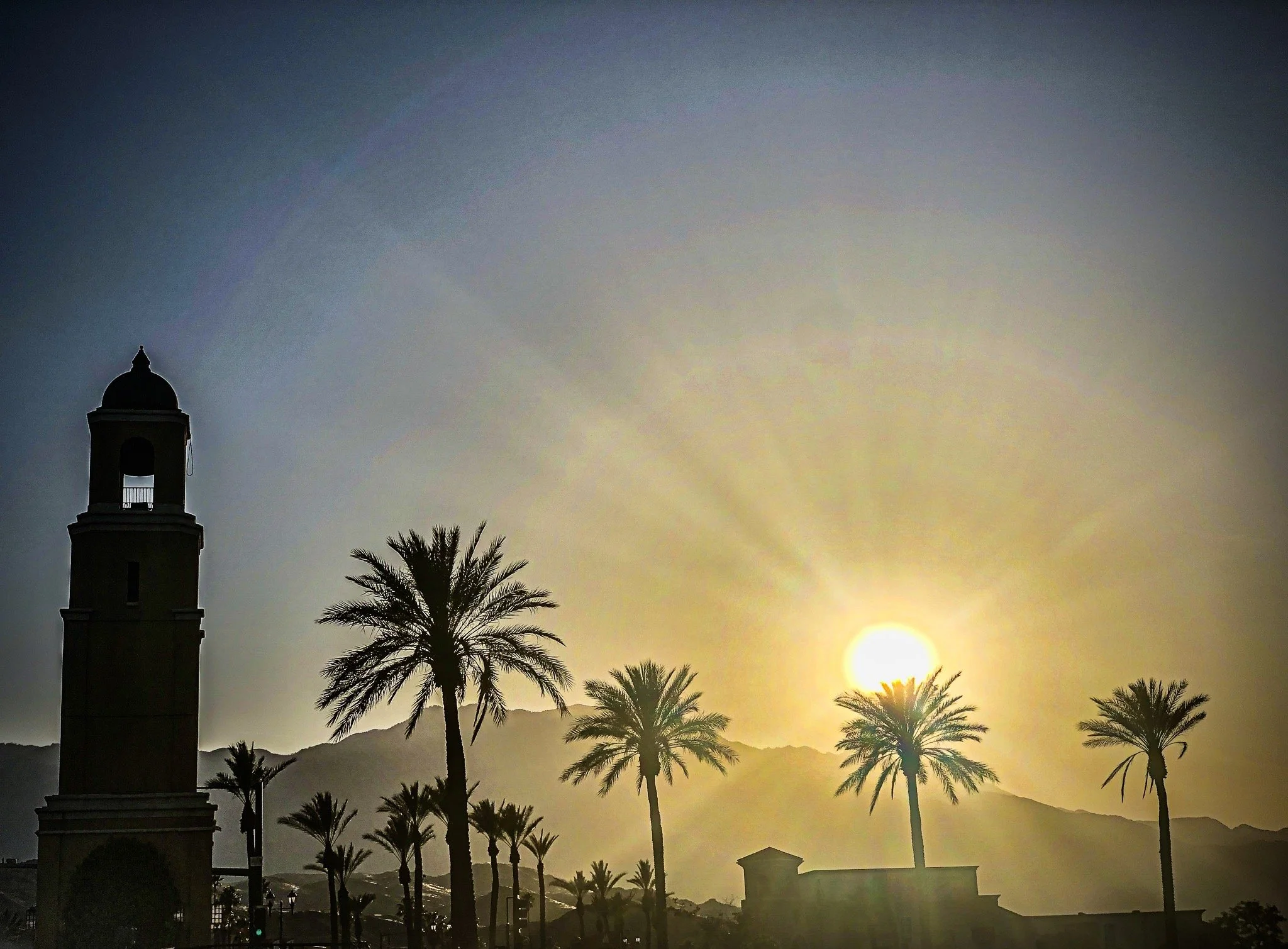 PALM SPRING.jpg