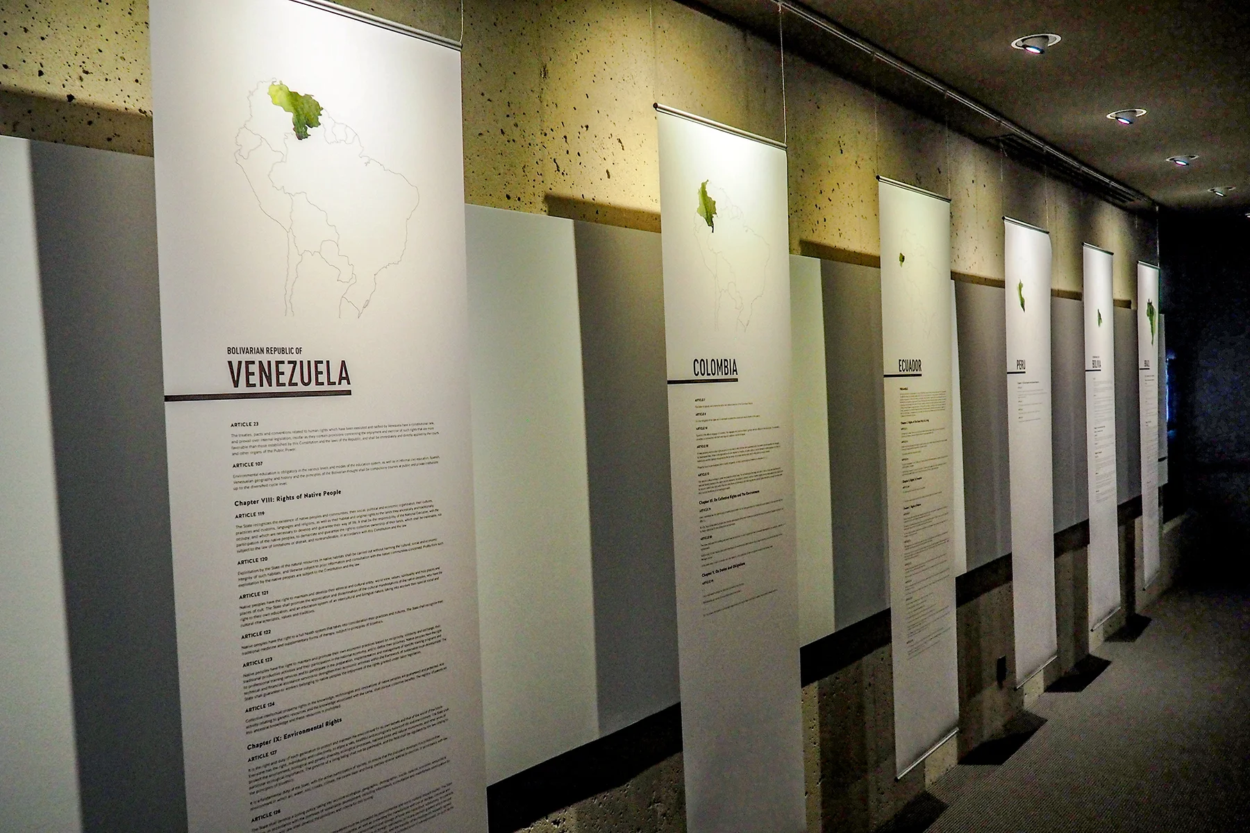 amazonia_banners.jpg