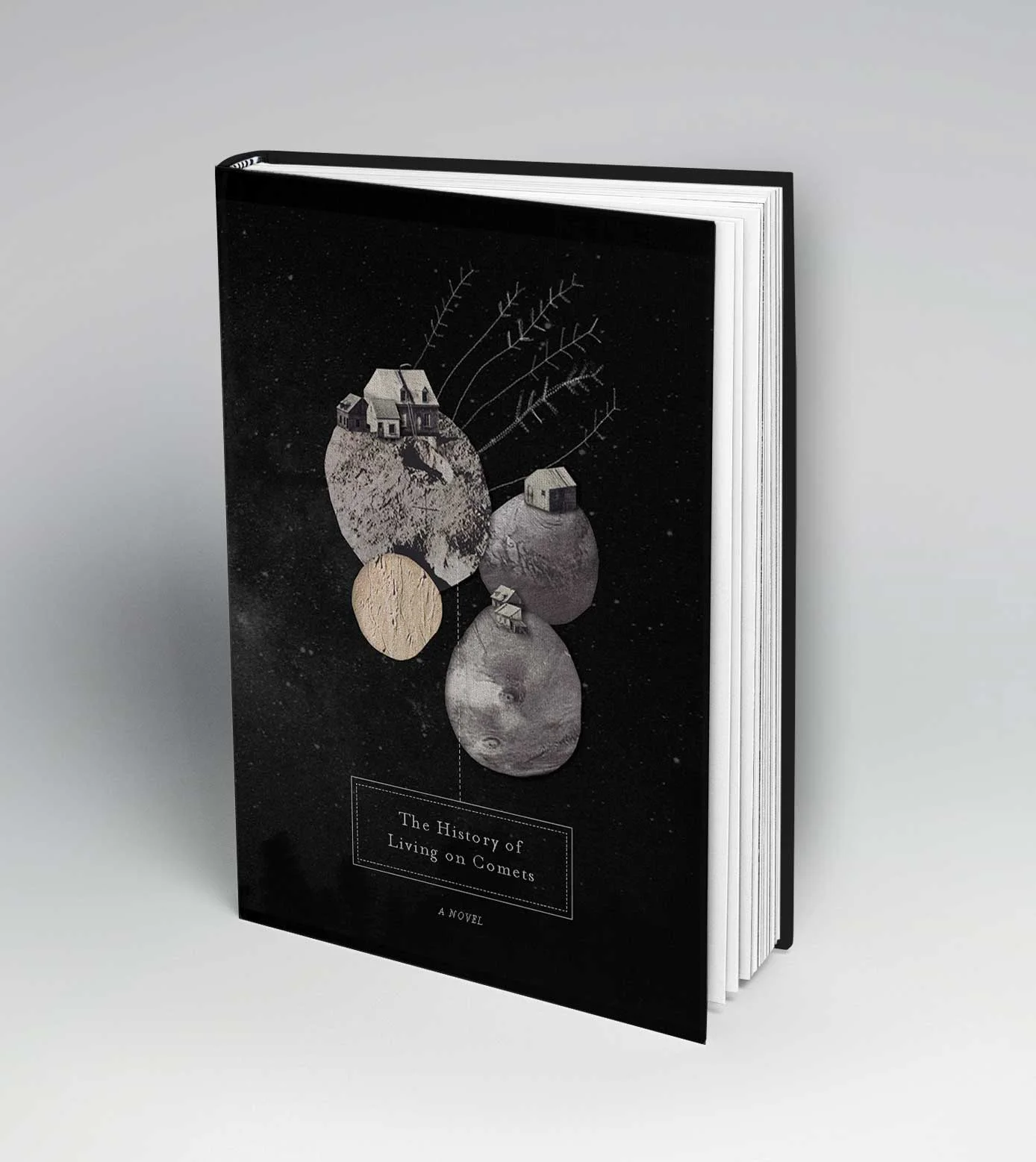 The History of Living on Comets (Copy)
