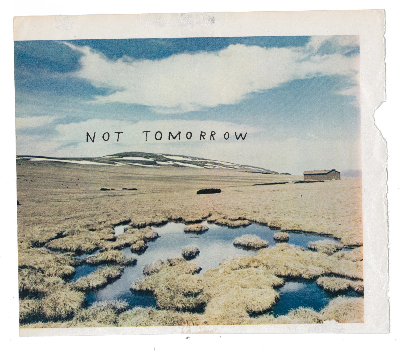 nottomorrow.jpeg
