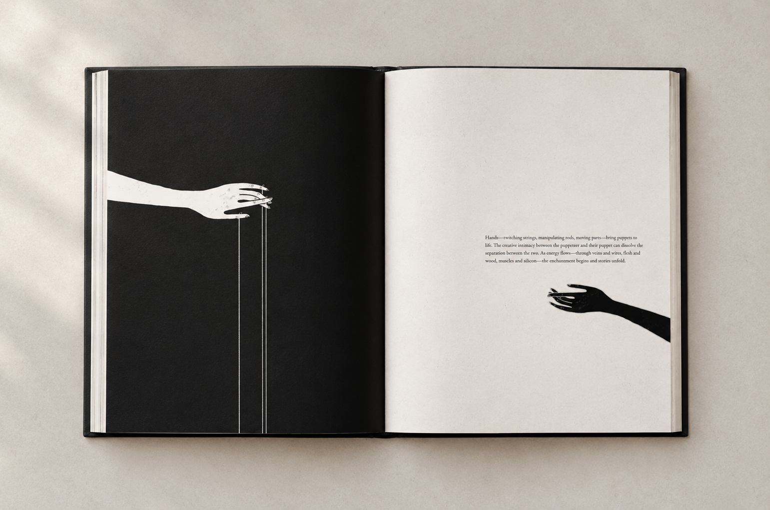 Complete overhead hardcover book spread-10.png