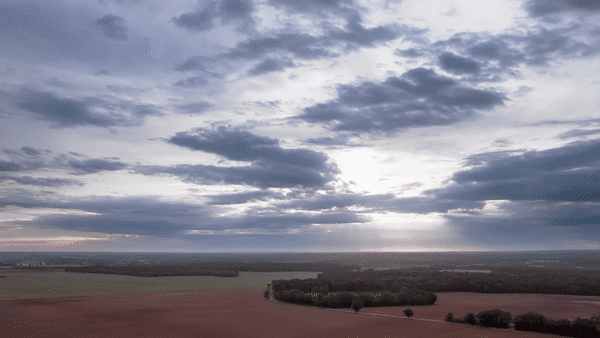 LBDR_Gif_02.gif