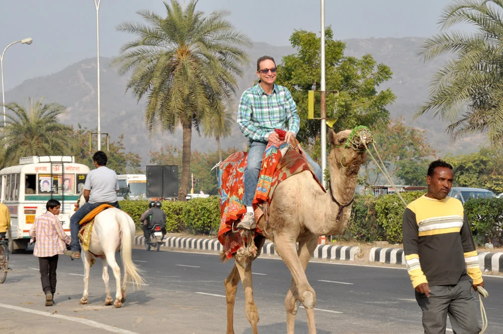 camel.jpg