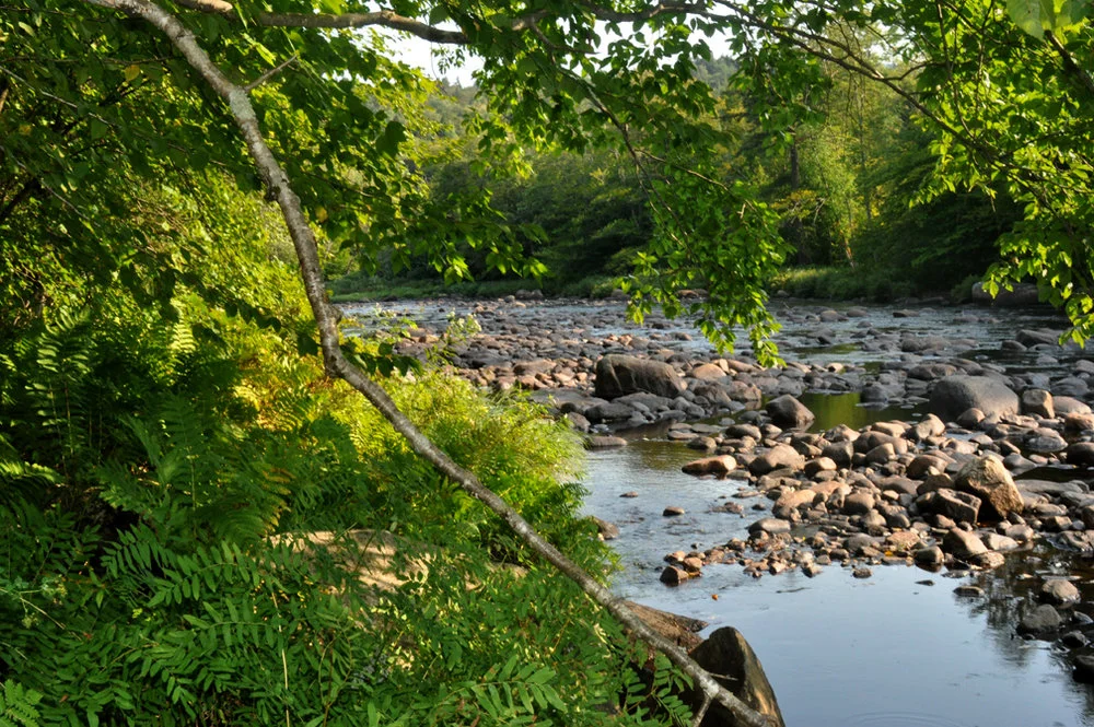 stream+(2).jpg